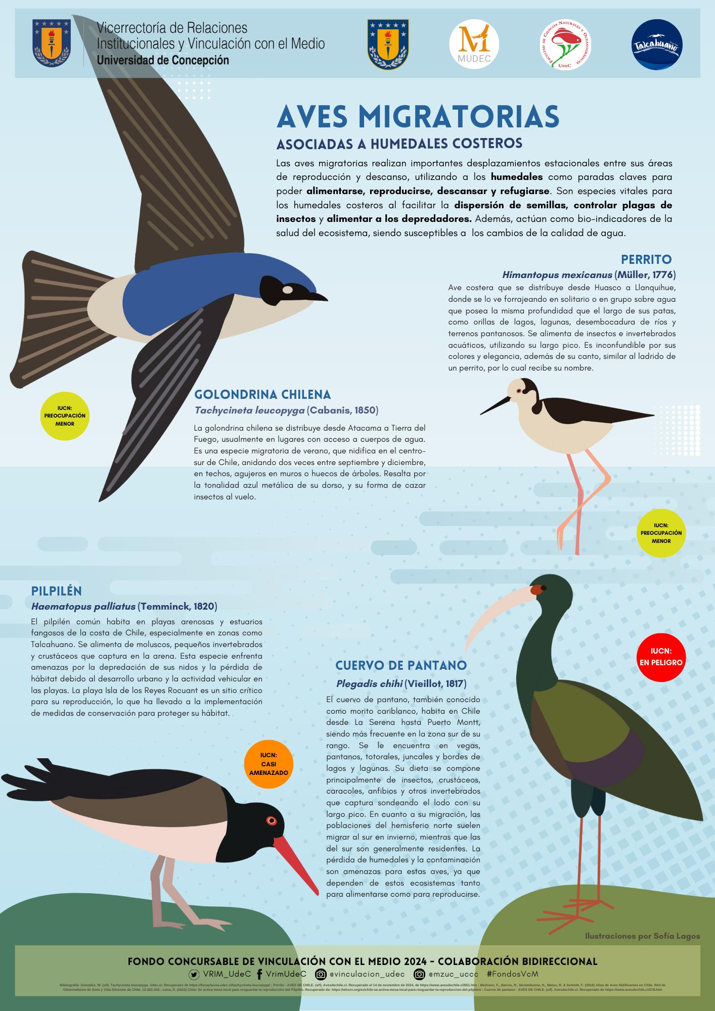 Aves migratorias