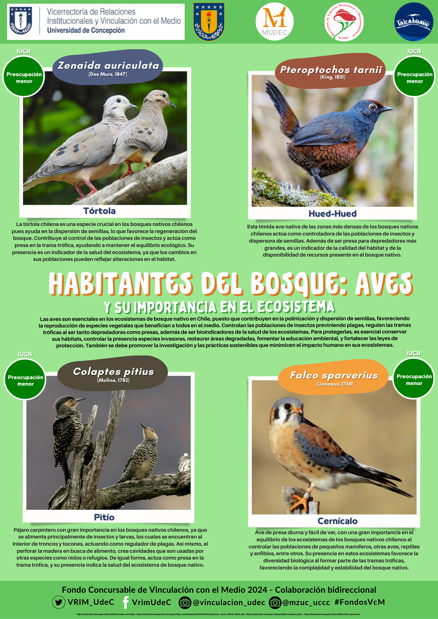 Aves