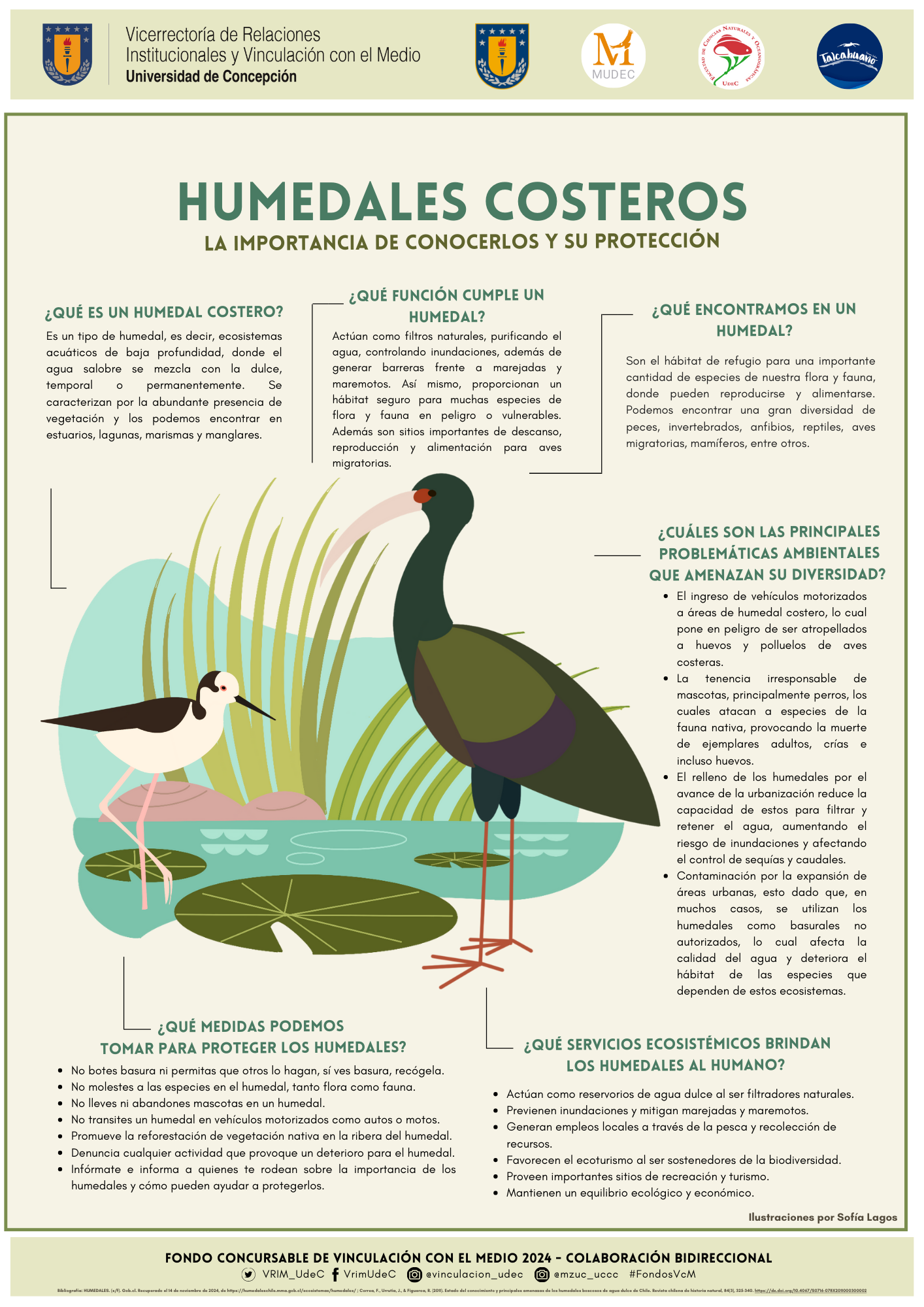 Humedales costeros