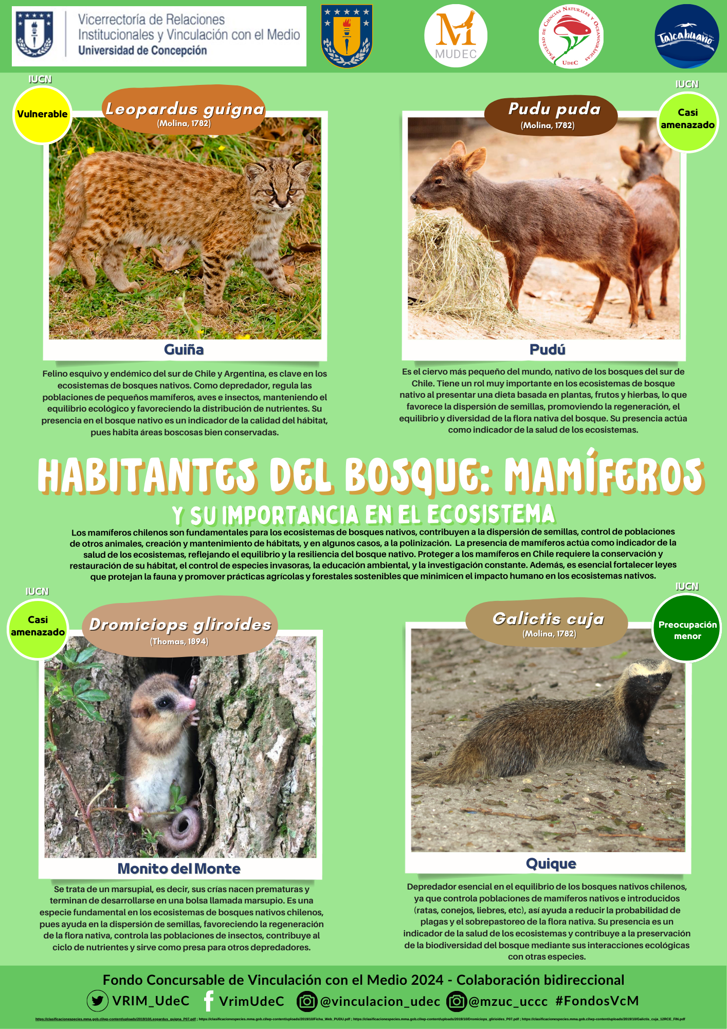 Mamiferos